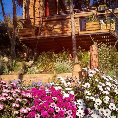 Tiny Houses Apartamento